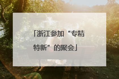 浙江参加“专精特新”的聚会