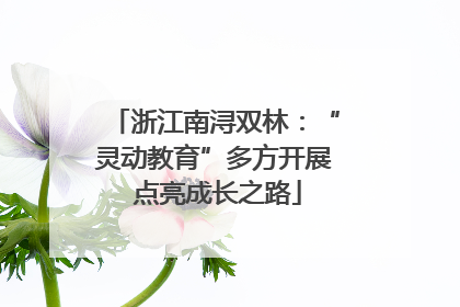 浙江南浔双林：“灵动教育”多方开展 点亮成长之路