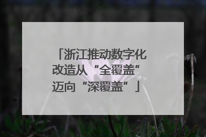 浙江推动数字化改造从“全覆盖”迈向“深覆盖”
