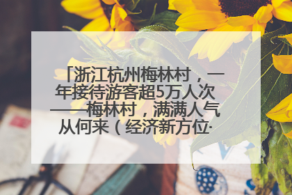 浙江杭州梅林村，一年接待游客超5万人次——梅林村，满满人气从何来（经济新方位·农村消费观察）