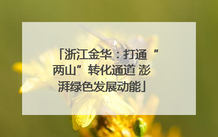 浙江金华：打通“两山”转化通道 澎湃绿色发展动能