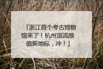 浙江首个考古博物馆来了！杭州顶流颜值新地标，冲！