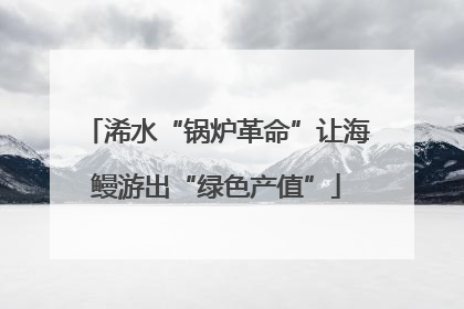 浠水“锅炉革命”让海鳗游出“绿色产值”