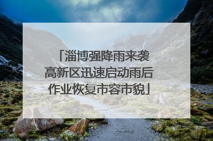 淄博强降雨来袭 高新区迅速启动雨后作业恢复市容市貌