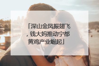 深山金凤振翅飞，钱大妈推动宁都黄鸡产业崛起