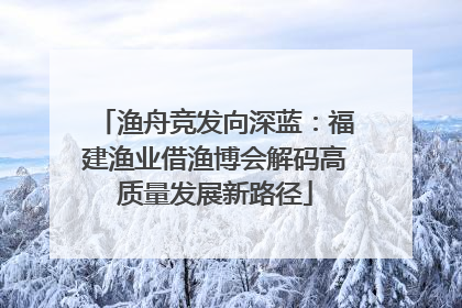 渔舟竞发向深蓝：福建渔业借渔博会解码高质量发展新路径