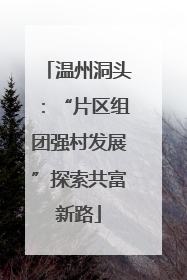 温州洞头：“片区组团强村发展”探索共富新路