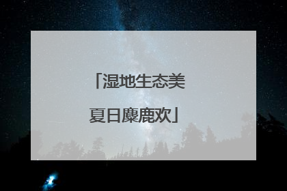 湿地生态美 夏日麋鹿欢