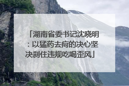 湖南省委书记沈晓明：以猛药去疴的决心坚决刹住违规吃喝歪风