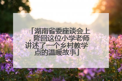 湖南省委座谈会上，隆回这位小学老师讲述了一个乡村教学点的温暖故事