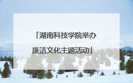 湖南科技学院举办廉洁文化主题活动