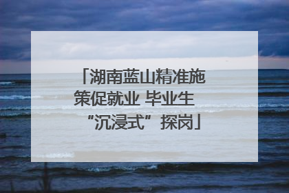 湖南蓝山精准施策促就业 毕业生“沉浸式”探岗