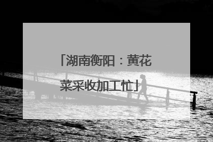湖南衡阳：黄花菜采收加工忙
