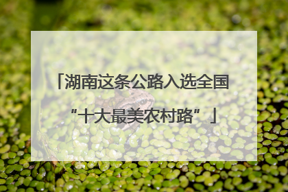 湖南这条公路入选全国“十大最美农村路”
