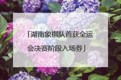 湖南象棋队首获全运会决赛阶段入场券