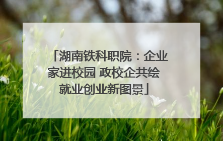 湖南铁科职院：企业家进校园 政校企共绘就业创业新图景