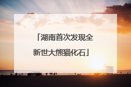 湖南首次发现全新世大熊猫化石