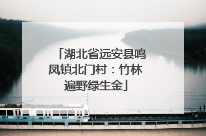 湖北省远安县鸣凤镇北门村：竹林遍野绿生金
