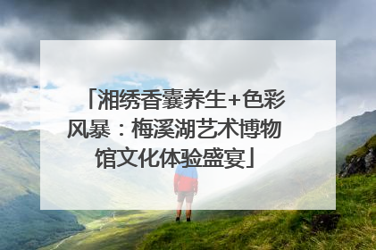 湘绣香囊养生+色彩风暴：梅溪湖艺术博物馆文化体验盛宴