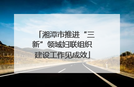 湘潭市推进“三新”领域妇联组织建设工作见成效