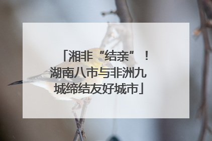 湘非“结亲”！湖南八市与非洲九城缔结友好城市