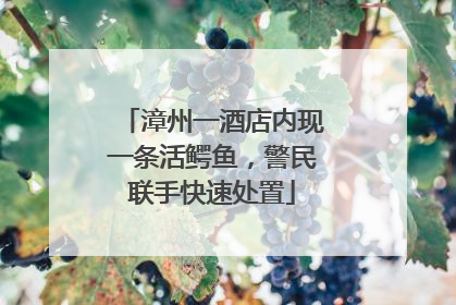 漳州一酒店内现一条活鳄鱼，警民联手快速处置