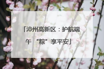 漳州高新区：护航端午 “粽”享平安