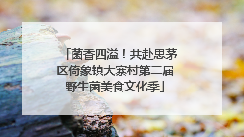 菌香四溢！共赴思茅区倚象镇大寨村第二届野生菌美食文化季