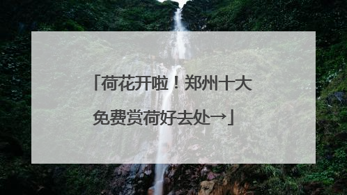 荷花开啦！郑州十大免费赏荷好去处→