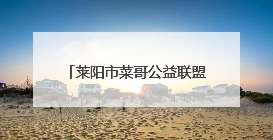 莱阳市菜哥公益联盟为患病村民送爱心款