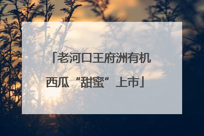 老河口王府洲有机西瓜“甜蜜”上市
