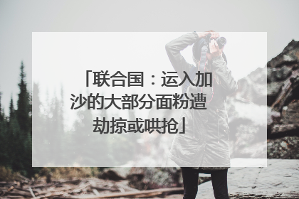 联合国：运入加沙的大部分面粉遭劫掠或哄抢