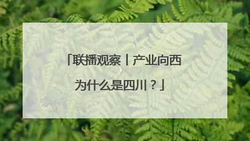 联播观察丨产业向西 为什么是四川？