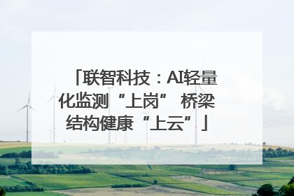 联智科技：AI轻量化监测“上岗” 桥梁结构健康“上云”