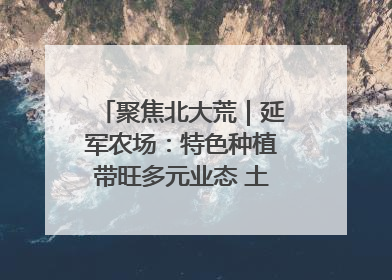 聚焦北大荒｜延军农场：特色种植带旺多元业态 土地焕发新活力