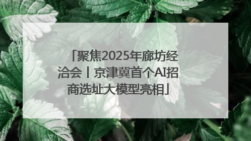 聚焦2025年廊坊经洽会丨京津冀首个AI招商选址大模型亮相