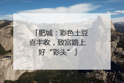 肥城：彩色土豆喜丰收，致富路上好“彩头”