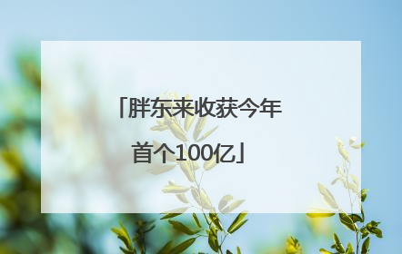 胖东来收获今年首个100亿