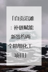 自贡沿滩：补链赋能 新签约两个精细化工项目