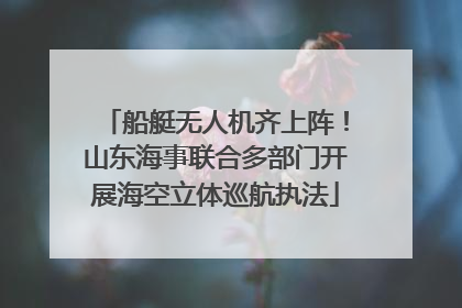 船艇无人机齐上阵！山东海事联合多部门开展海空立体巡航执法