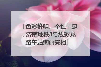 色彩鲜明、个性十足，济南地铁8号线彩龙路车站绚丽亮相