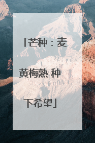 芒种：麦黄梅熟 种下希望