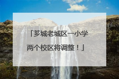 芗城老城区一小学两个校区将调整！