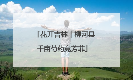 花开吉林｜柳河县千亩芍药竞芳菲