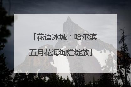 花语冰城：哈尔滨五月花海绚烂绽放