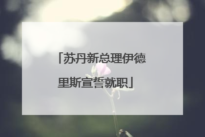 苏丹新总理伊德里斯宣誓就职