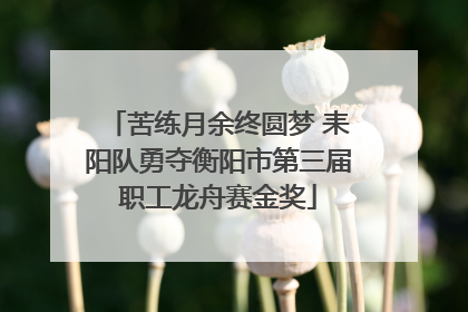 苦练月余终圆梦 耒阳队勇夺衡阳市第三届职工龙舟赛金奖
