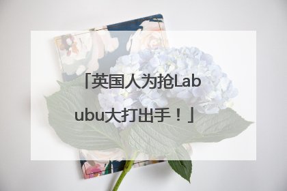 英国人为抢Labubu大打出手！