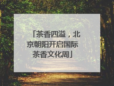 茶香四溢，北京朝阳开启国际茶香文化周