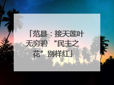 范县：接天莲叶无穷碧 “民主之花”别样红